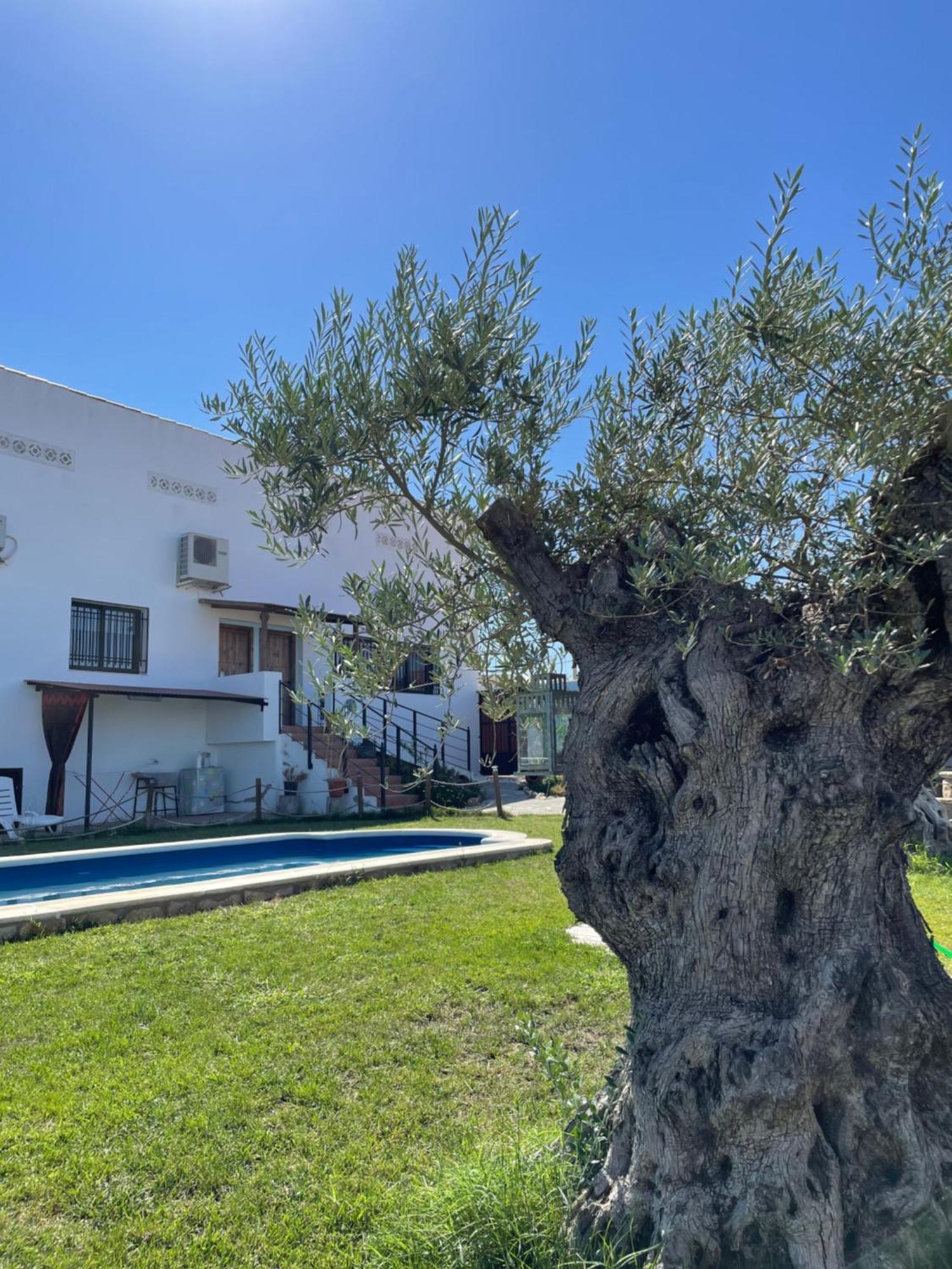 فيلا Casa Rural El Miajon El Campo  المظهر الخارجي الصورة