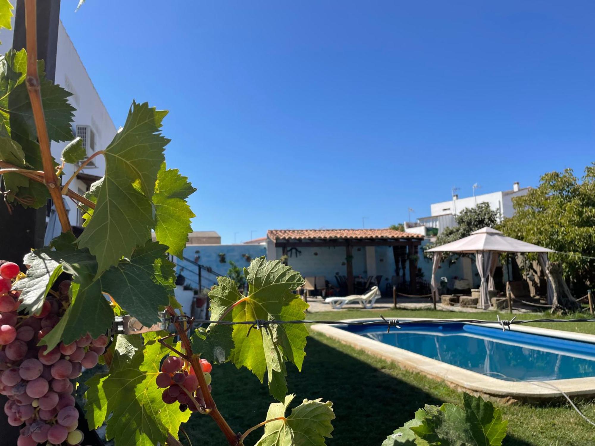 فيلا Casa Rural El Miajon El Campo  المظهر الخارجي الصورة