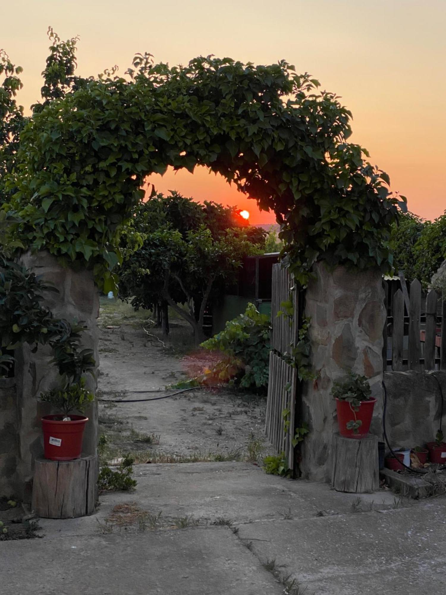 فيلا Casa Rural El Miajon El Campo  المظهر الخارجي الصورة